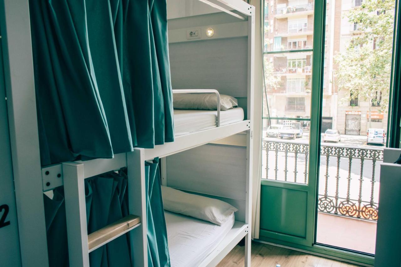 Black Swan Hostal